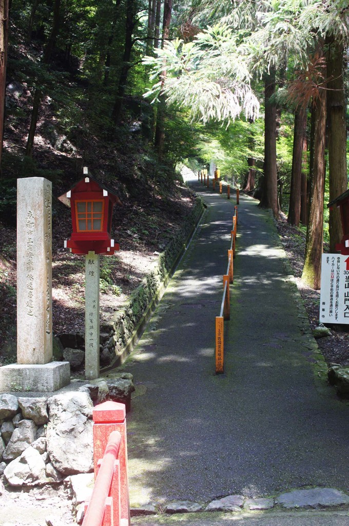 DSC04100