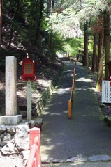 DSC04100