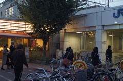 DSC05275