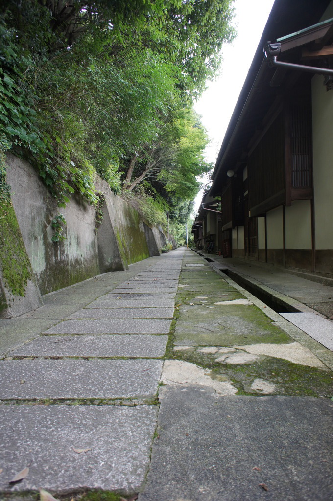 DSC06428