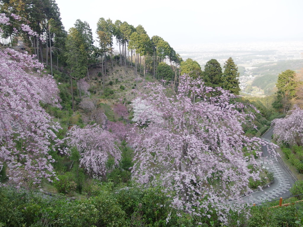 善峰寺