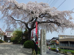 IMGP0159