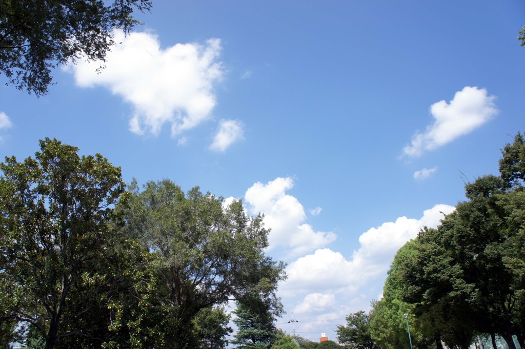 DSC04856
