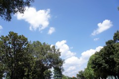 DSC04856