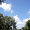 DSC04856