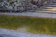 下鴨神社