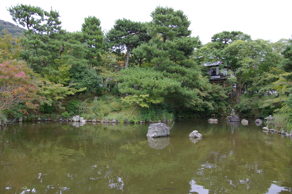 京都円山公園