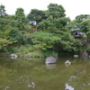 京都円山公園