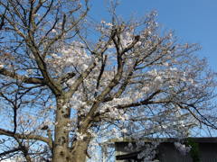 IMGP0280