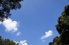 DSC04857