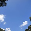 DSC04857