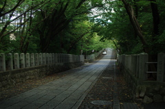 向日神社