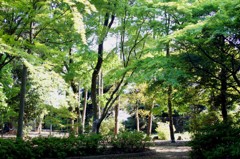 DSC03738