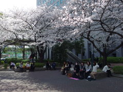 IMGP0172