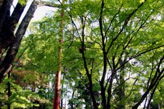 DSC03741