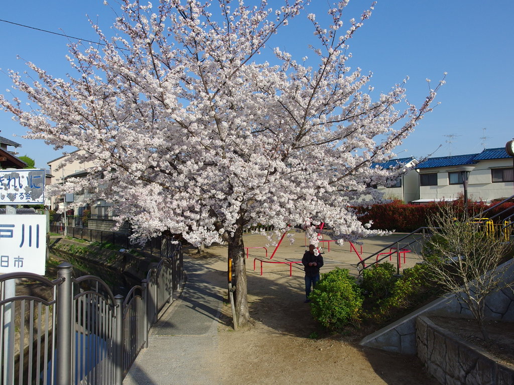 IMGP0286