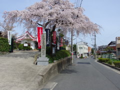 IMGP0158