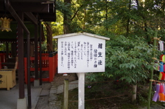 下鴨神社