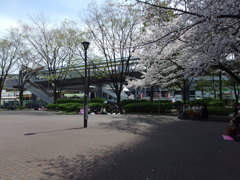 IMGP0175
