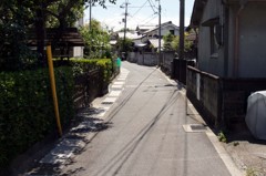 DSC04799