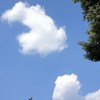 DSC04859