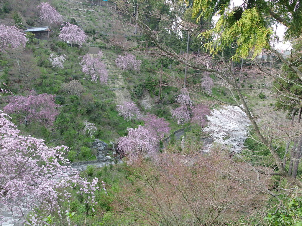 善峰寺