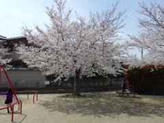 IMGP0167