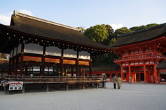 下鴨神社