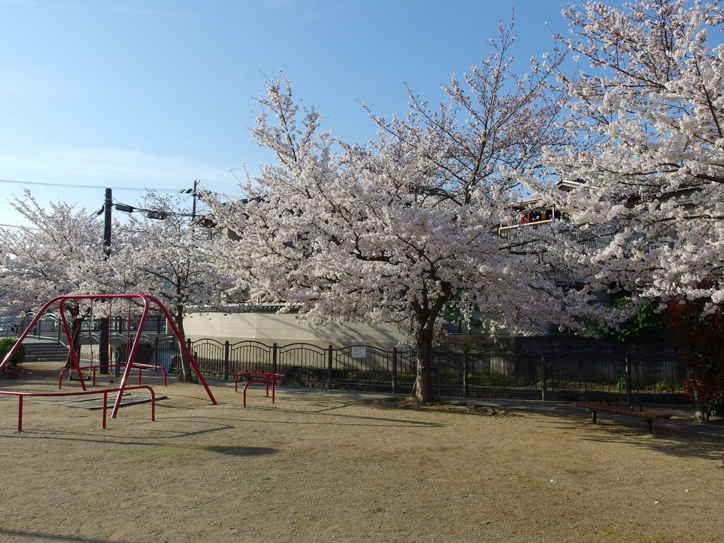 IMGP0294