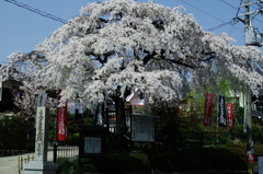 玄隆寺