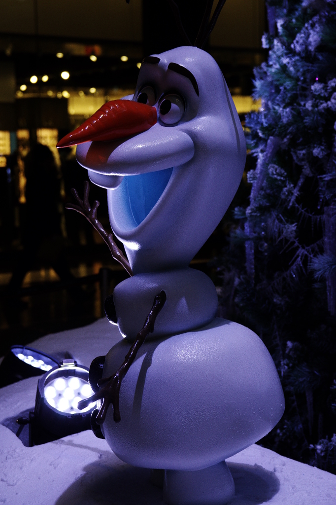 IMGP9487