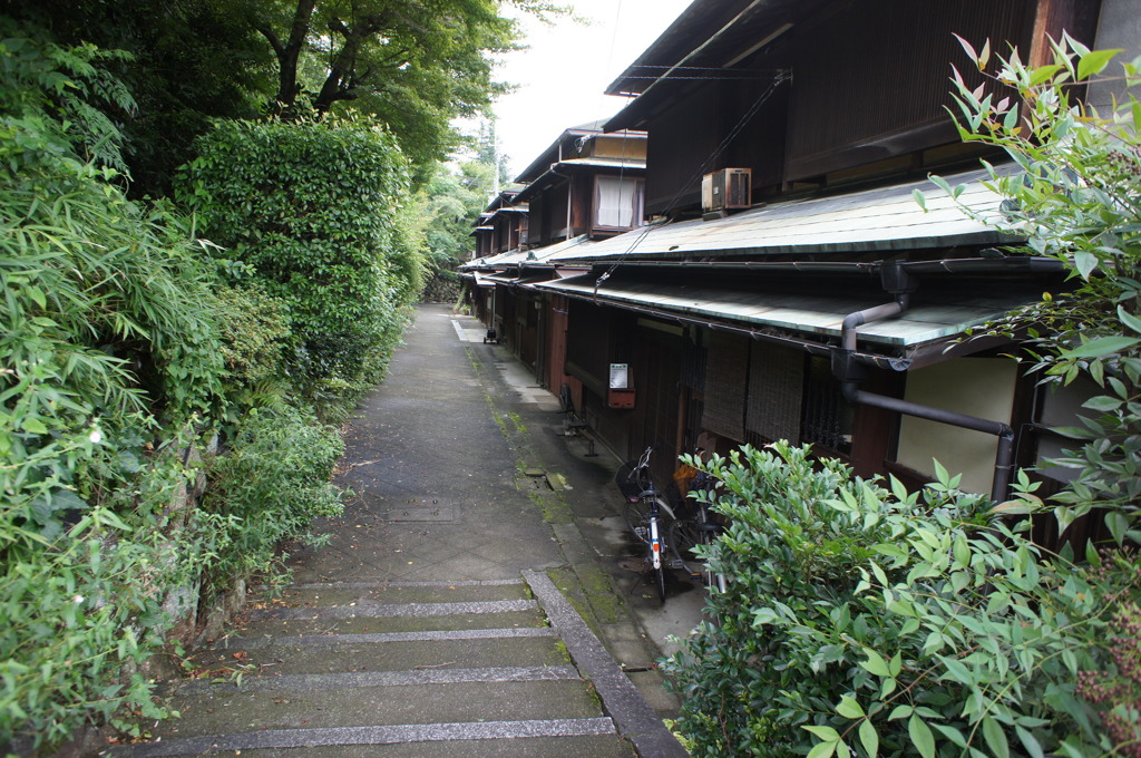DSC06406