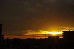 IMGP9209