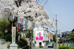 玄隆寺