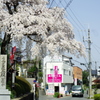 玄隆寺