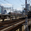IMGP9436