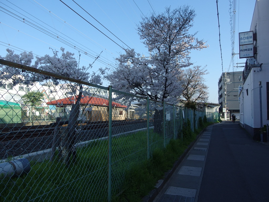 IMGP0275