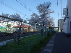 IMGP0275