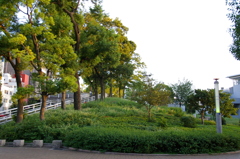 扇町公園