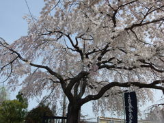 IMGP0160