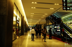 IMGP9484