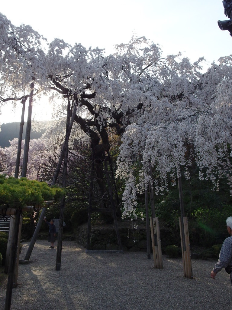 善峰寺