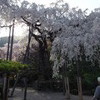 善峰寺