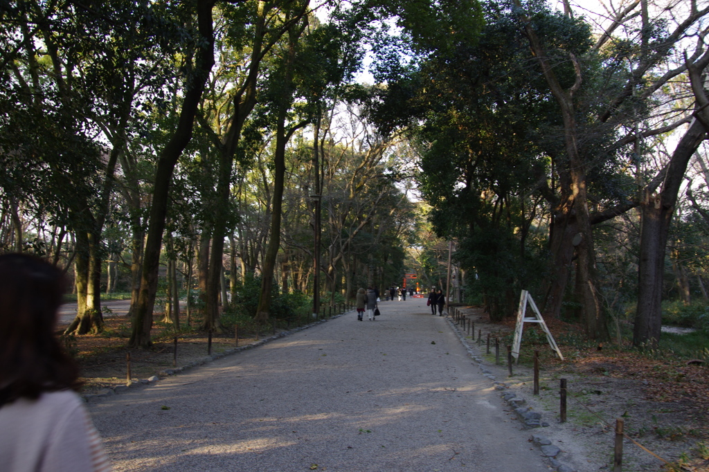 下鴨神社