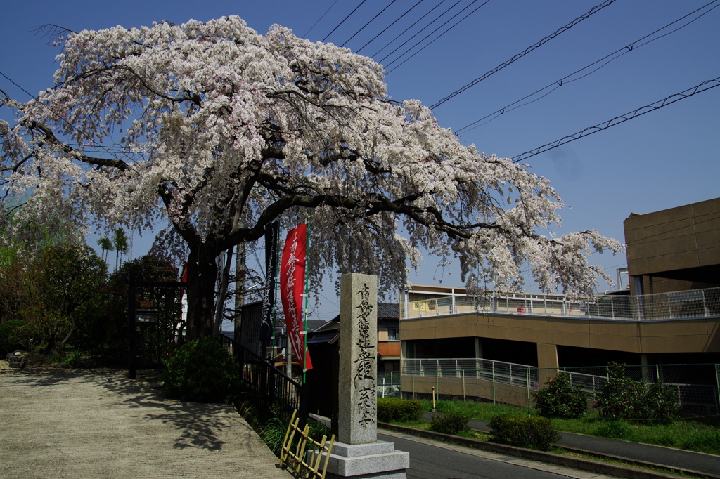 玄隆寺