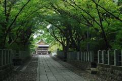 向日神社