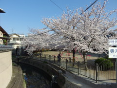 IMGP0284