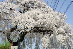 玄隆寺