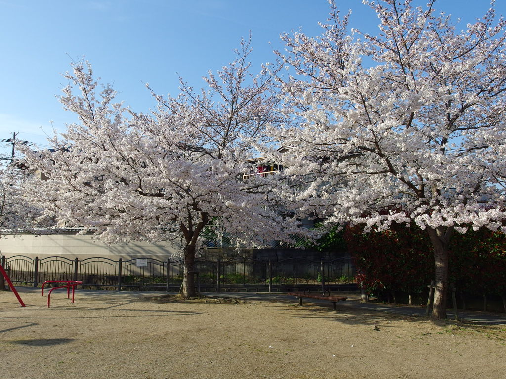 IMGP0293