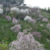 善峰寺